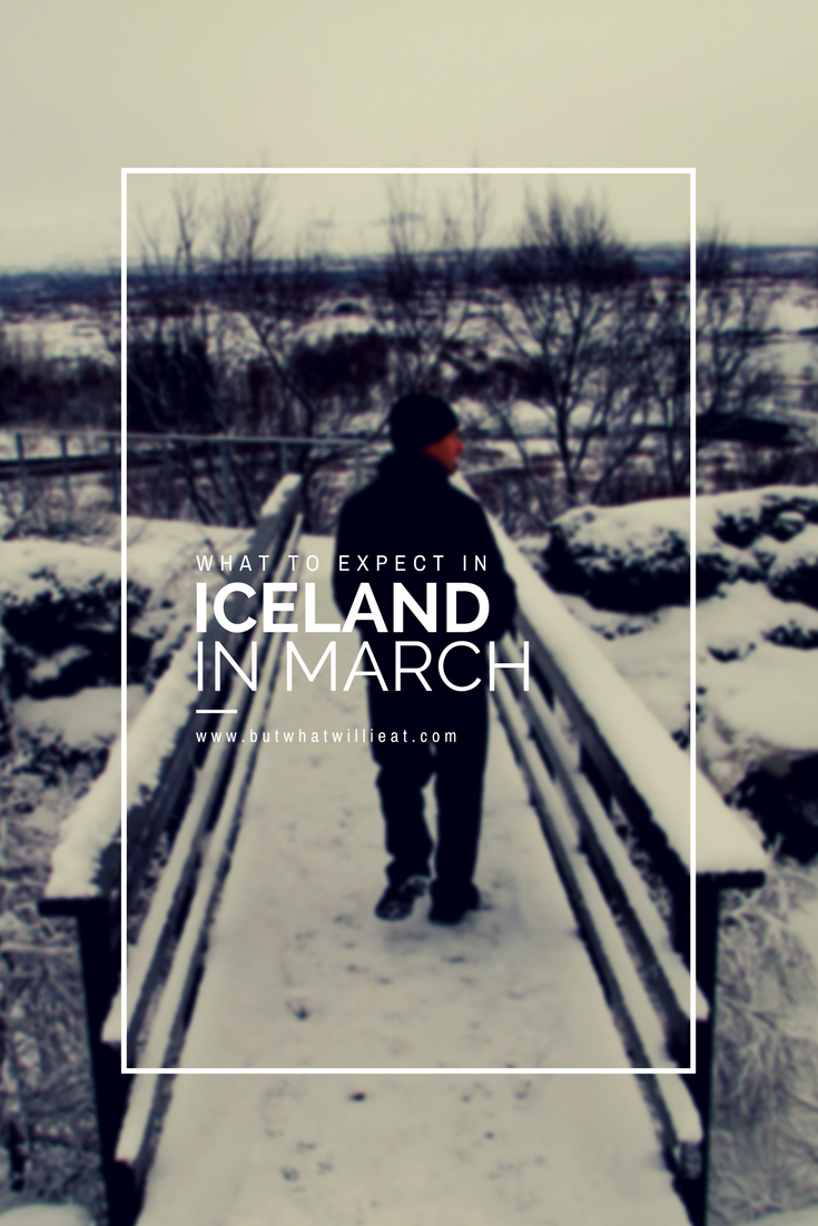 What to Expect in Iceland in March